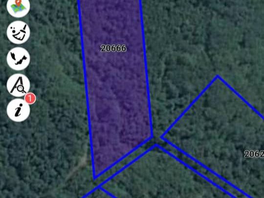 Tanah Pertanian Kuala Lipis Pahang 4 Ekar Dusun Durian