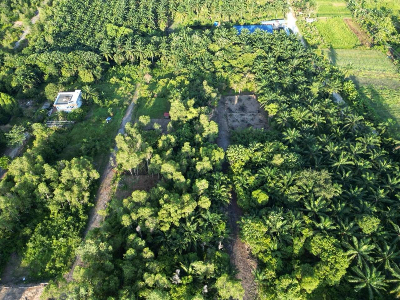 Tanah Lot Banglo Bukit Damar Dengkil 5,037 Kaki Persegi