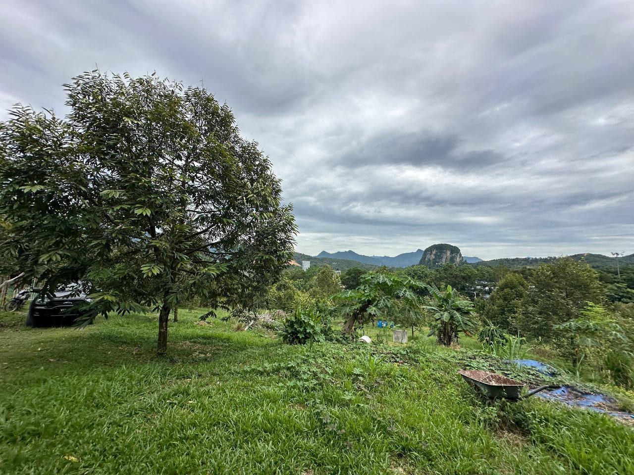 Tanah Pertanian Karak Bentong Pahang 3.5 Ekar Freehold Open Title Berhampiran Tol Karak