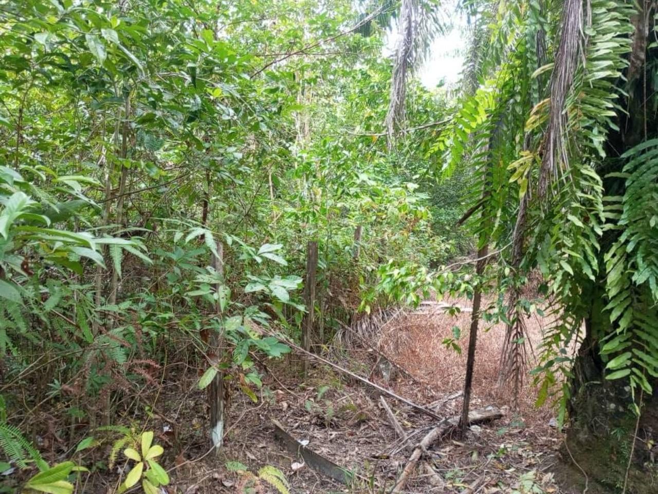 Tanah Bangunan 8.77 Ekar Freehold Di Dadong, Kemaman