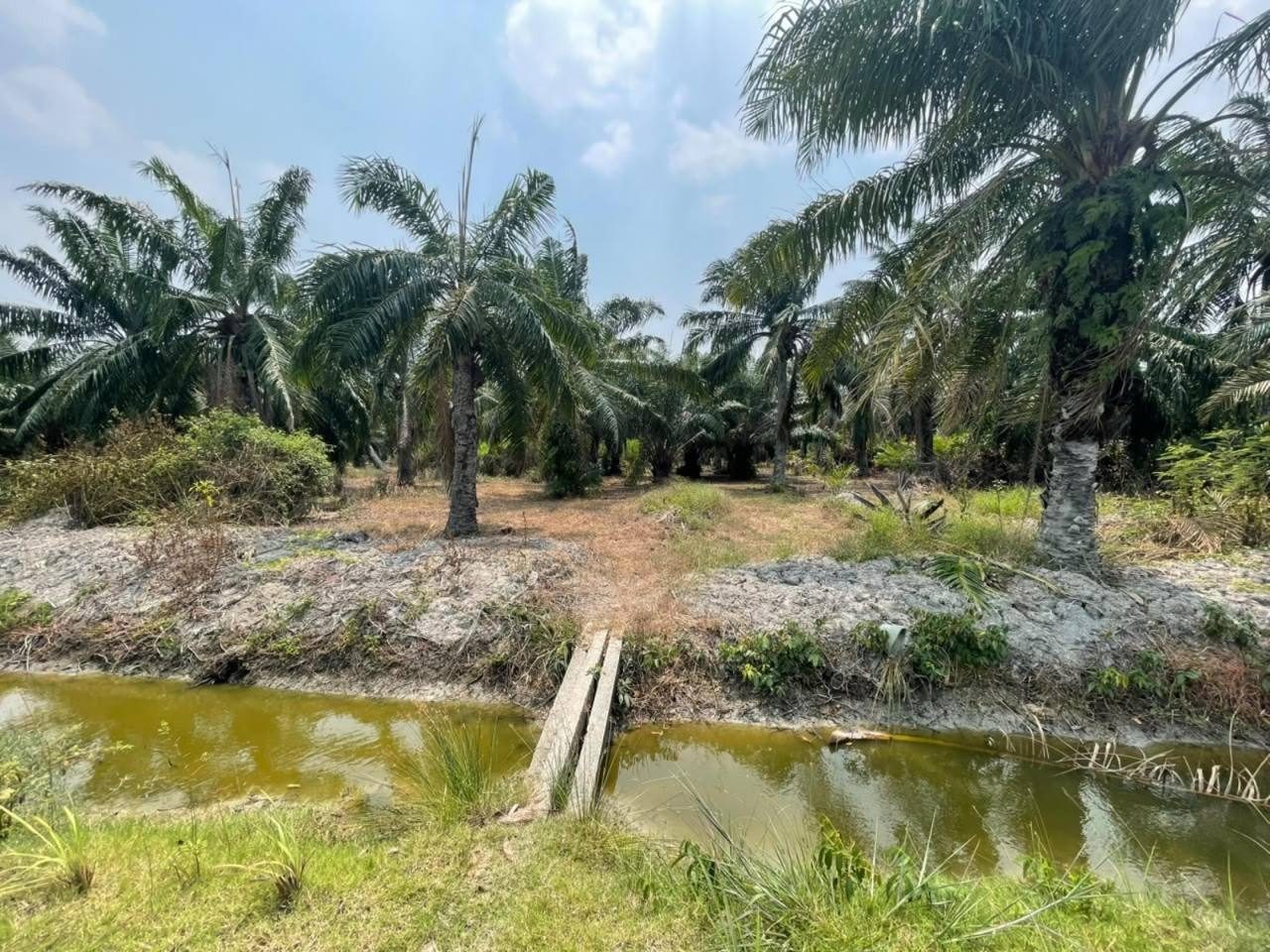 Tanah Pertanian Jeram Kuala Selangor 1 Ekar