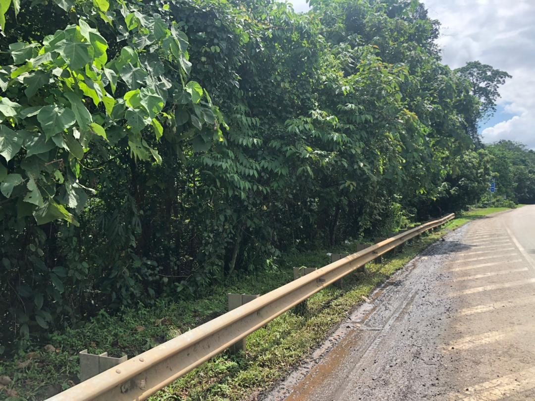Tanah Pertanian 4.125 Ekar Tepi Jalan Besar & Sungai Lipis Pahang