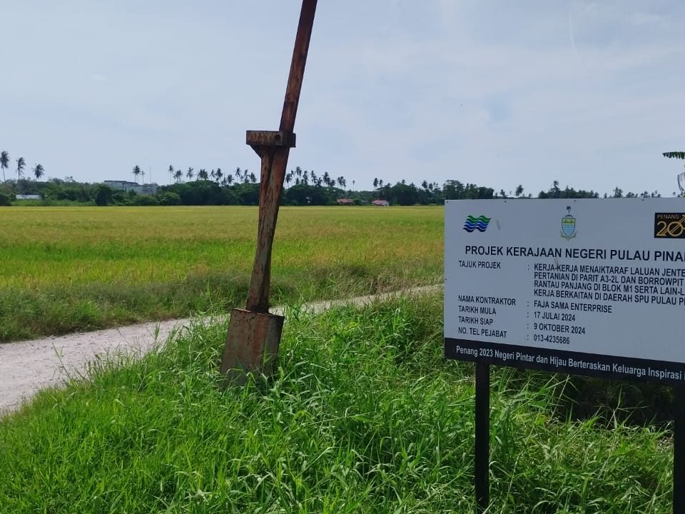 Tanah Sawah Padi 4 Lot Seberang Perai Utara Pulau Pinang Freehold