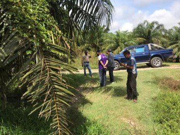 Ladang Sawit 206 Ekar Perak Tengah