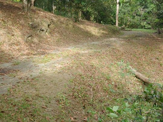 Kebun Buah-Buahan Bukit Tamu Batang Kali 2 Ekar