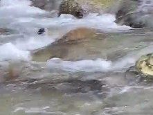 Tanah Pertanian Sungai Sendat Ulu Yam 1.964 Ekar Freehold