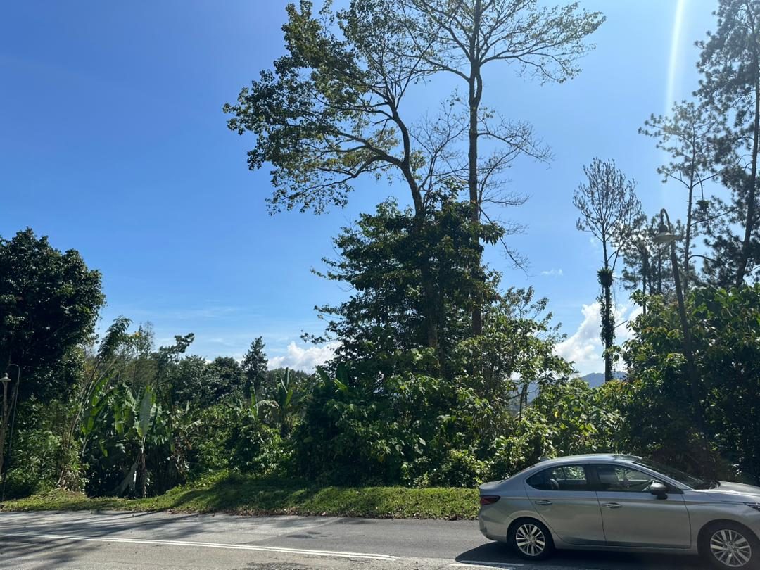 Tanah Homestead Janda Baik 53,000 Kaki Persegi
