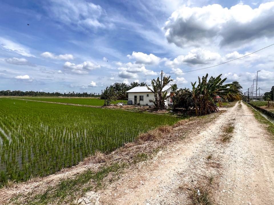 Tanah Sawah Sungai Panjang Sabak Bernam 1 Ekar