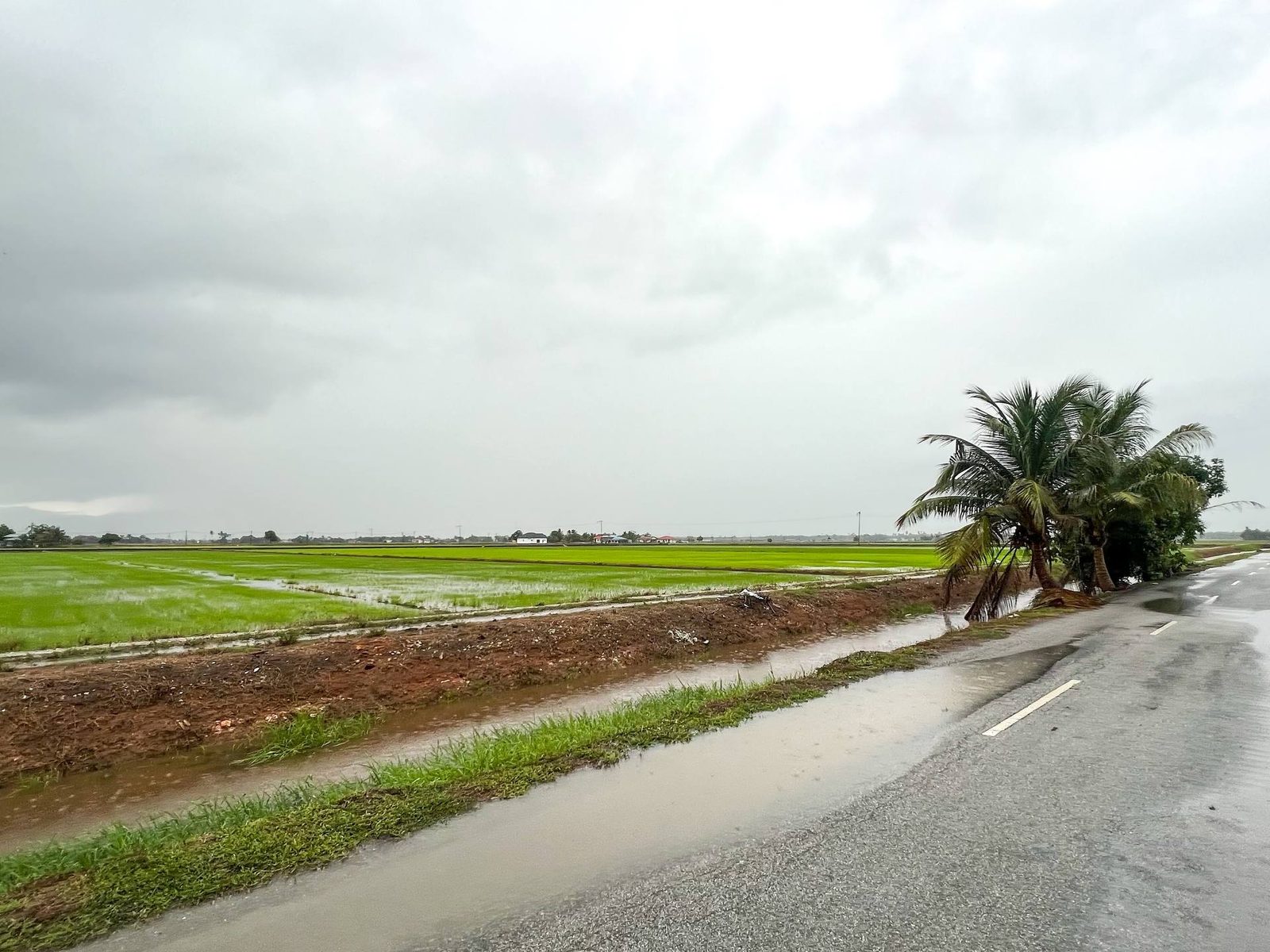 Tanah Pertanian Sungai Besar Sabak Bernam 1.37 Ekar Freehold