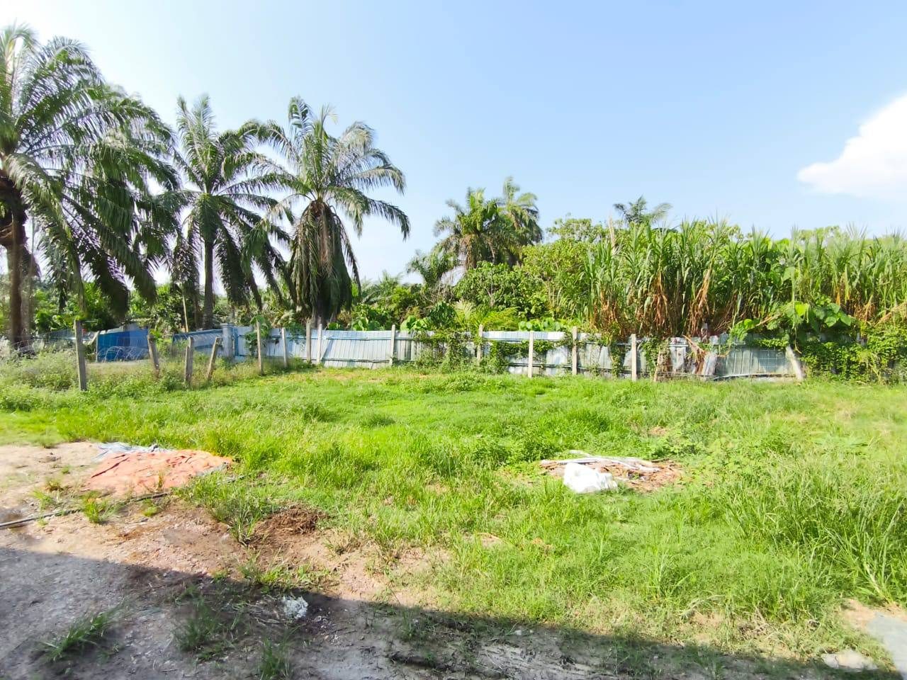 Tanah Pertanian Pancang Bedena Sabak Bernam 3 Ekar
