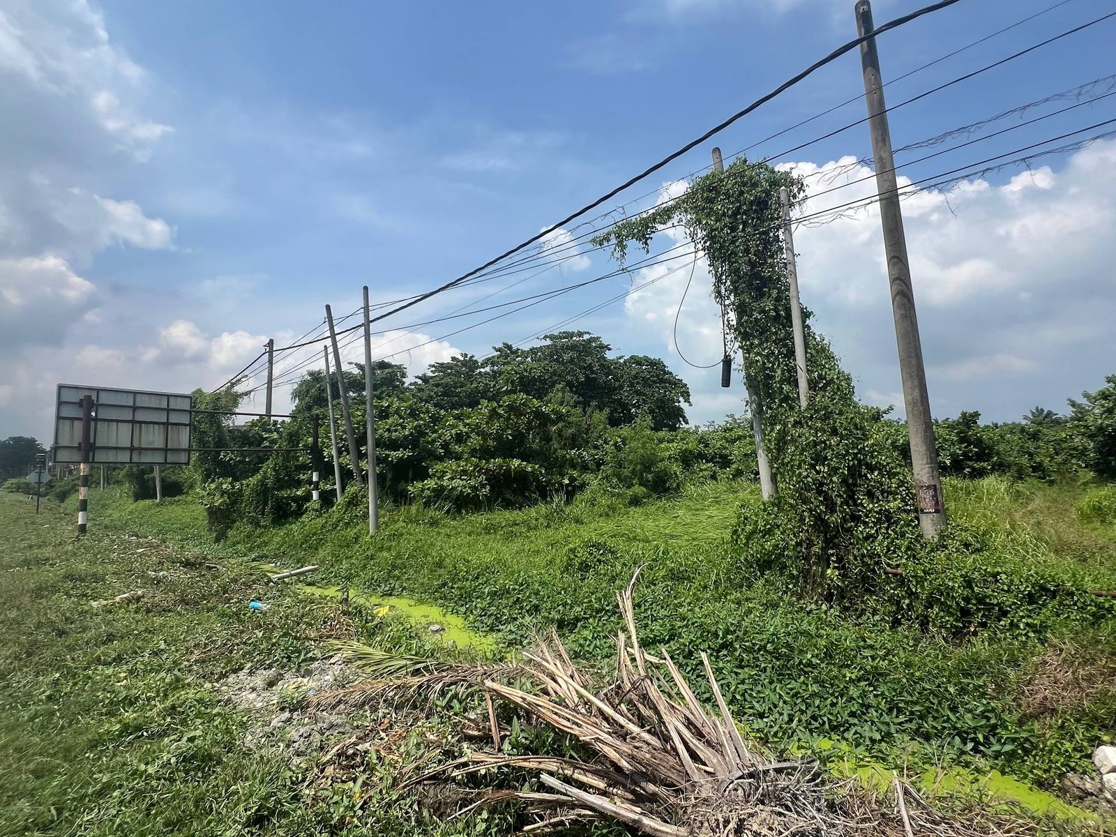 Tanah Industri Sungai Serdang Kapar Klang 2.31 Ekar Freehold Zoning Industri