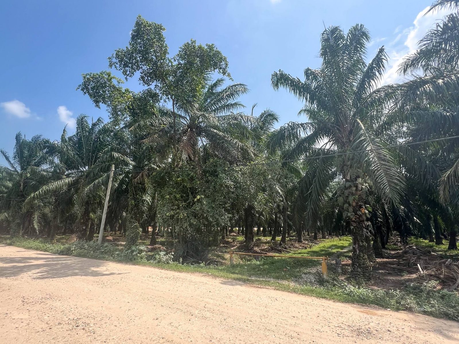 Tanah Industri Kapar Batu 14 Klang 12 Ekar Freehold Zoning Industri