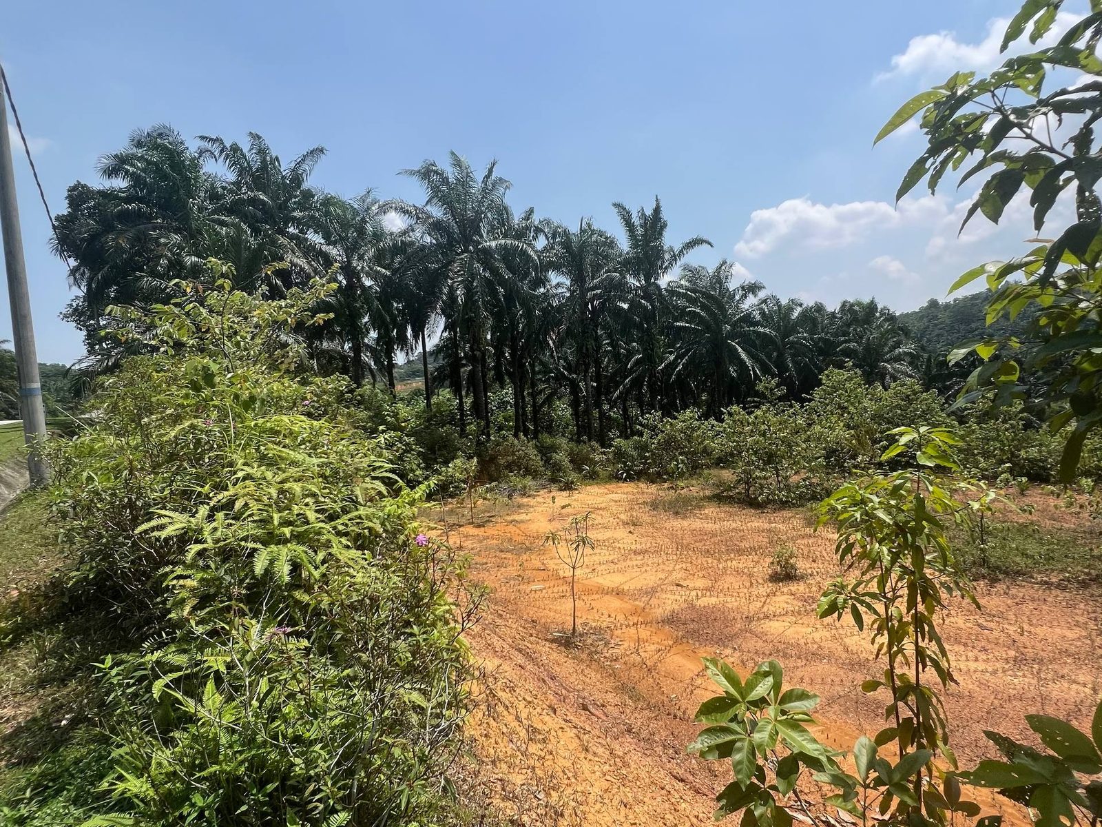 Tanah Kediaman Bukit Cherakah Selangor 1.55 Ekar