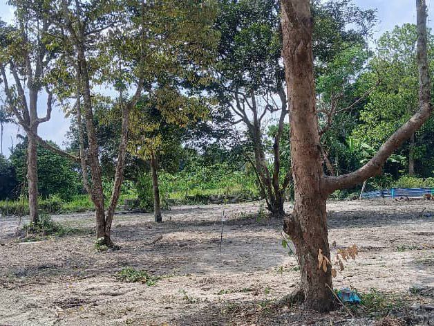Tanah Lot Tasek Gelugor Penang 7,612 Kaki Persegi Freehold Geran Mukim