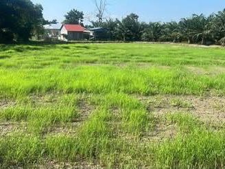 Tanah Pertanian Tasek Gelugor 28,739 Kaki Persegi Geran Individu