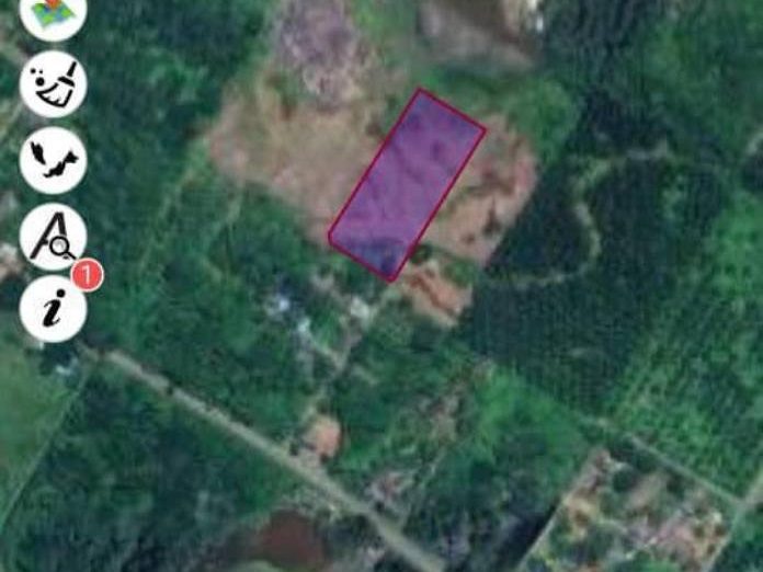 Tanah 5 Ekar Kg Rantau Panjang Hilir Kemaman Freehold