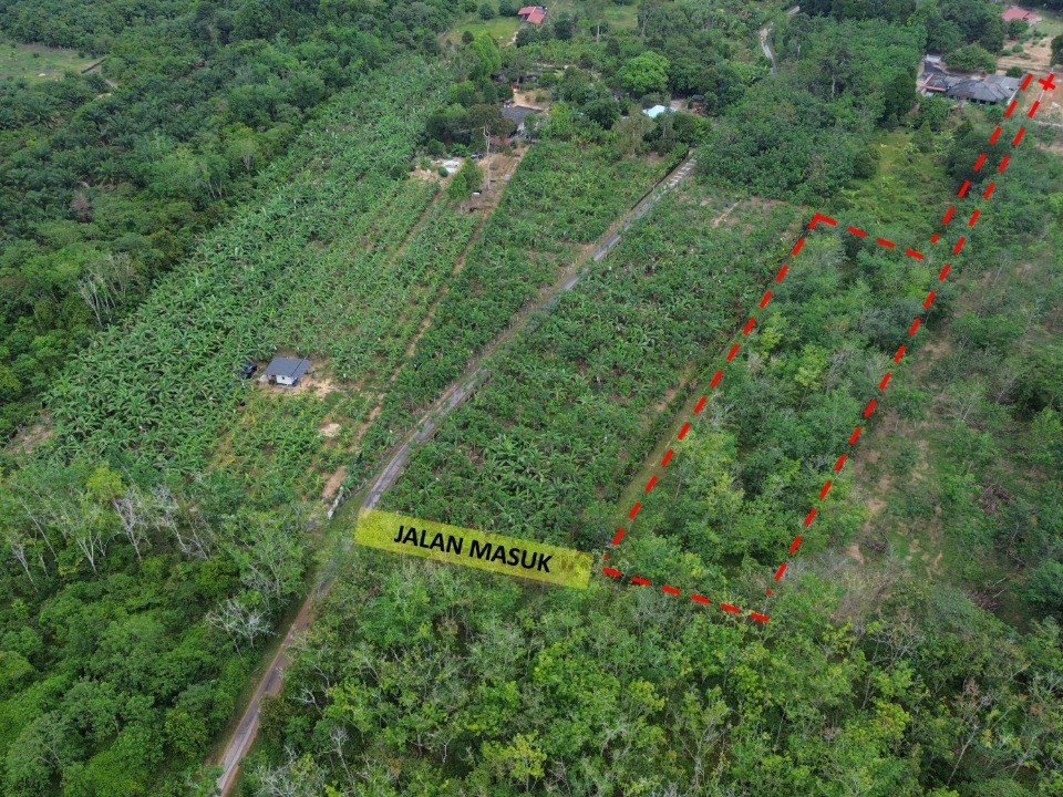 Tanah Pertanian 1.28 Ekar Linggi Port Dickson Freehold