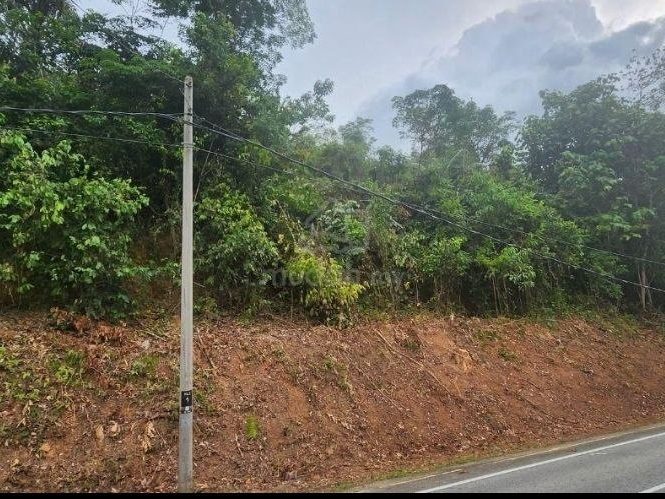 Tanah Pertanian 1.86 Ekar Lubuk Merbau Kuala Kangsar Freehold