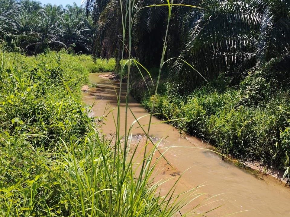 Tanah Kebun 1.9 Ekar Senggang Kuala Kangsar Freehold