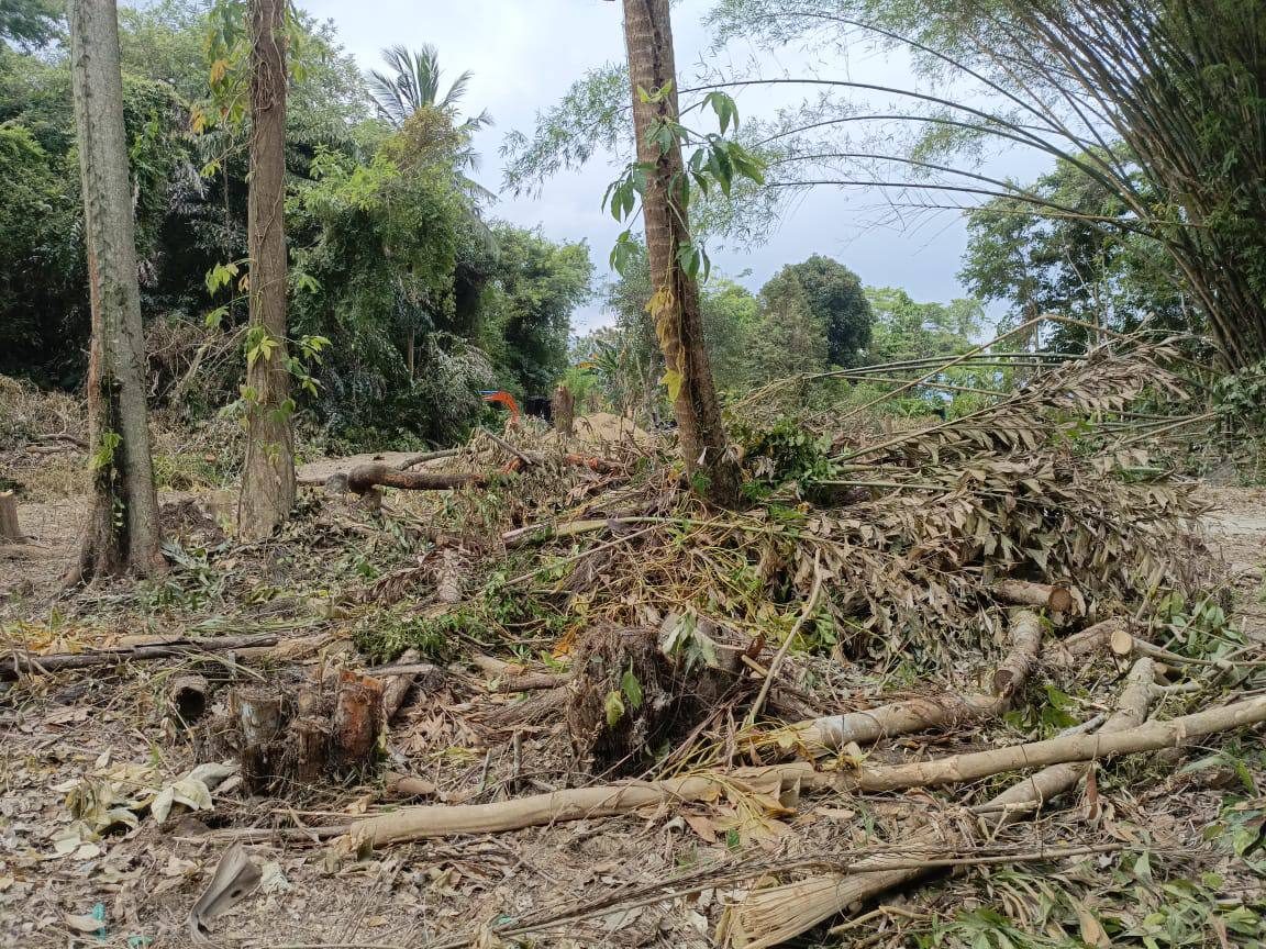 Tanah Lot Titi Teras Balik Pulau Penang Dari RM75,000
