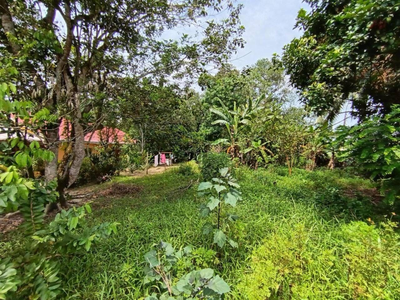 Tanah Lot Banglo Felda Bukit Cerakah Puncak Alam 11355 sqft