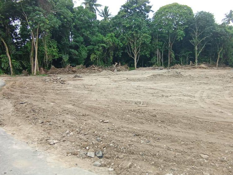 Tanah Lot Titi Teras Balik Pulau Freehold 2 Petak