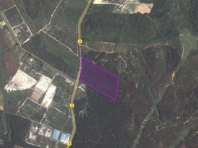 Tanah Pertanian Sawit 19.69 Ekar Kota Tinggi Johor Freehold Tepi Jalan