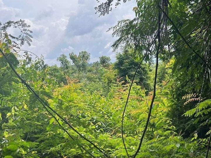 Tanah Pertanian 7.33 Ekar Kundur Rembau Negeri Sembilan Freehold