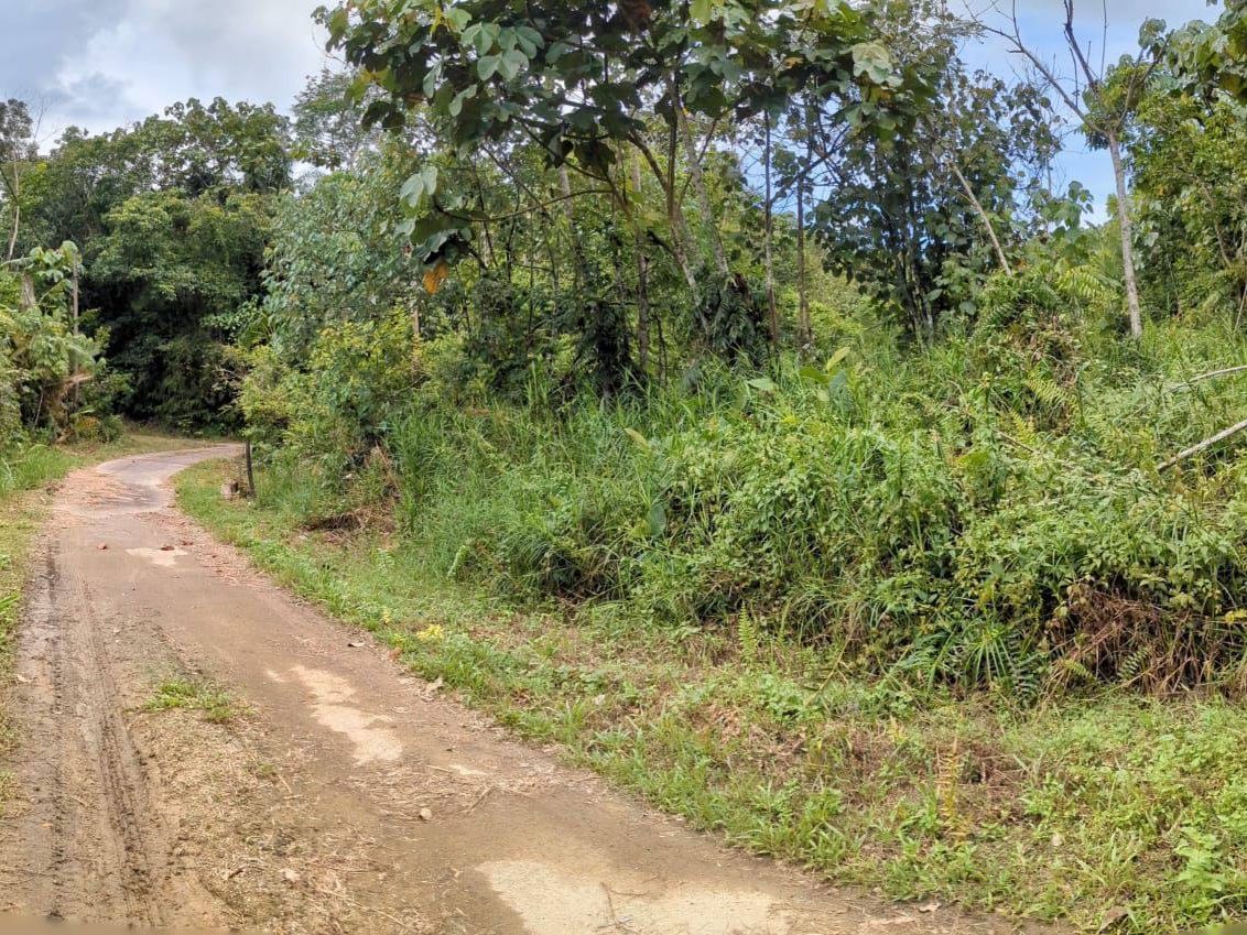 Tanah Kebun 1.4973 Hektar Sungai Tengas Kulim Kedah Freehold