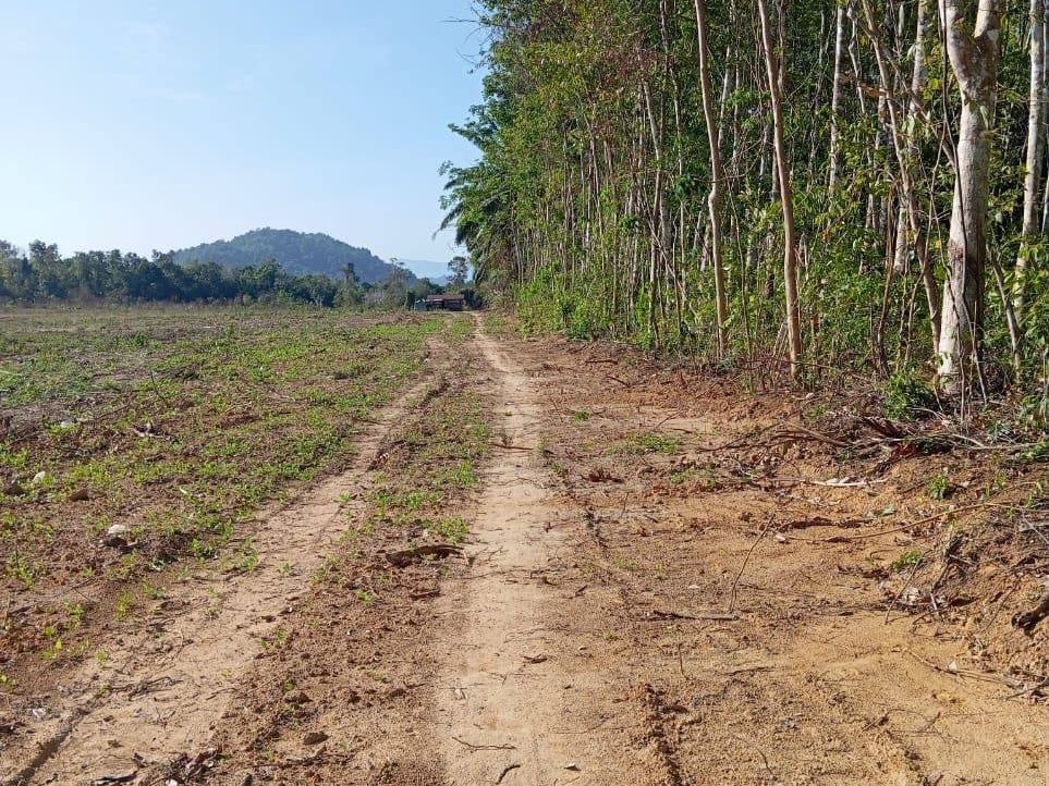 Tanah Kosong 10 Ekar Padang Terap Kedah Freehold Untuk Dijual