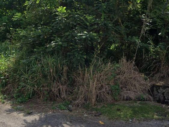 Tanah Kediaman Corner Lot 6,530 Kaki Persegi Taman Duyung