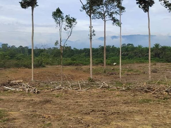 Tanah Pertanian 4.719 Ekar Kg Ulu Yoh Johol Freehold