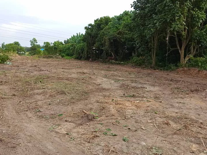 Tanah Pertanian 9,047 Kaki Persegi Sesapan Batu Beranang