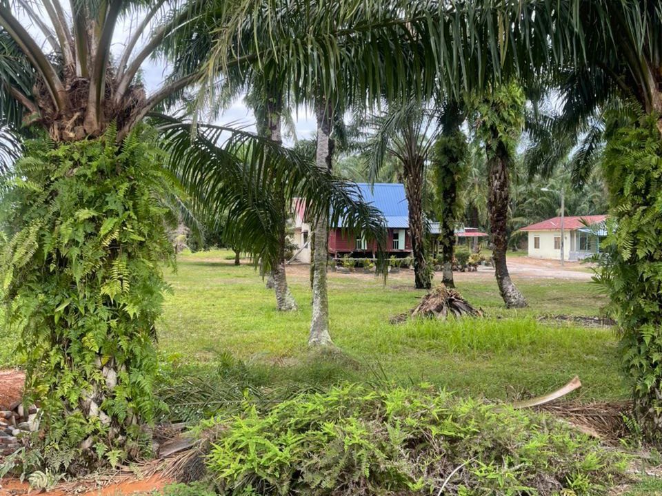 Tanah Pertanian 2 Ekar Kampung Bonon Sepang Freehold