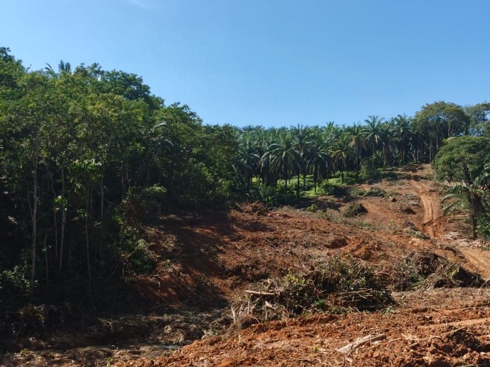 Tanah Pertanian 1.55 Ekar Tepi Jalan Kota Lubuk China Freehold