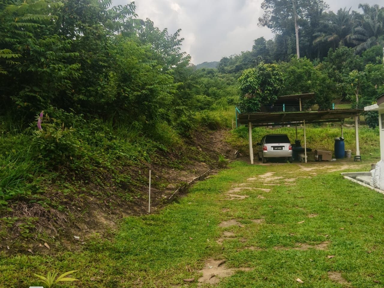 Tanah Pertanian 0.512 Ekar Kampung Tembun Ulu Klawang Freehold