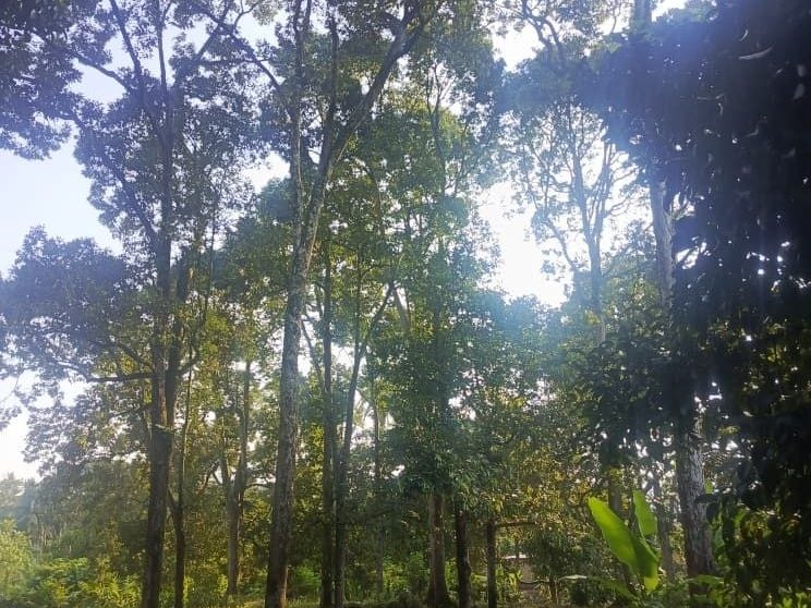 Dusun Durian 1.115 Ekar Kg Kapal Lenggeng Freehold
