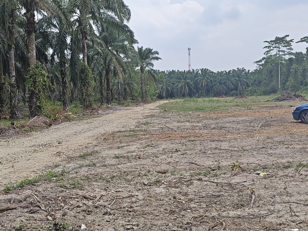 Tanah Pertanian 1 Ekar Jussseh Kapitan Kuala Pilah Freehold