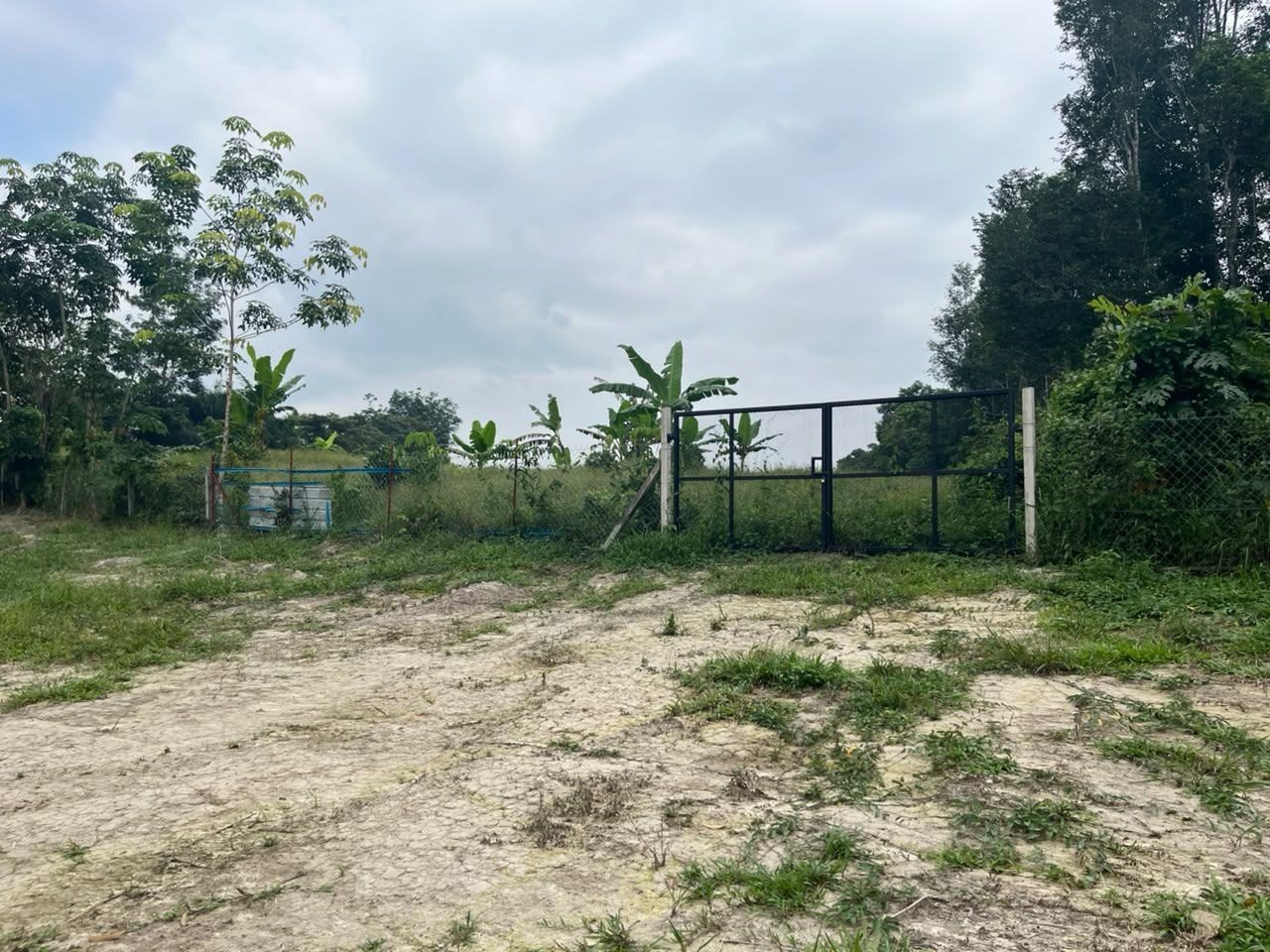 Dusun 1.114 Ekar Lenggeng Seremban Negeri Sembilan Freehold