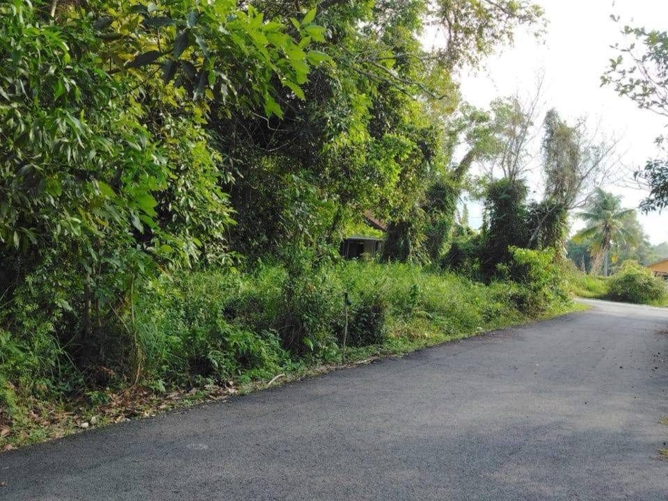 Tanah Lot 426 Meter Persegi Kampung Kertas Pulas Dungun Freehold