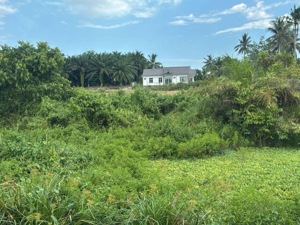 5 Lot Tanah Banglo Kampung Bukit Teruna Kijal Freehold
