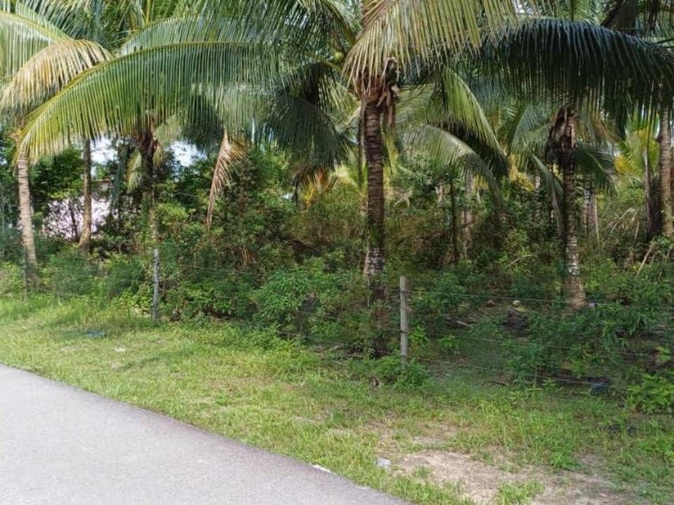 Tanah Pertanian 2 Ekar Air Hitam Kuantan Freehold