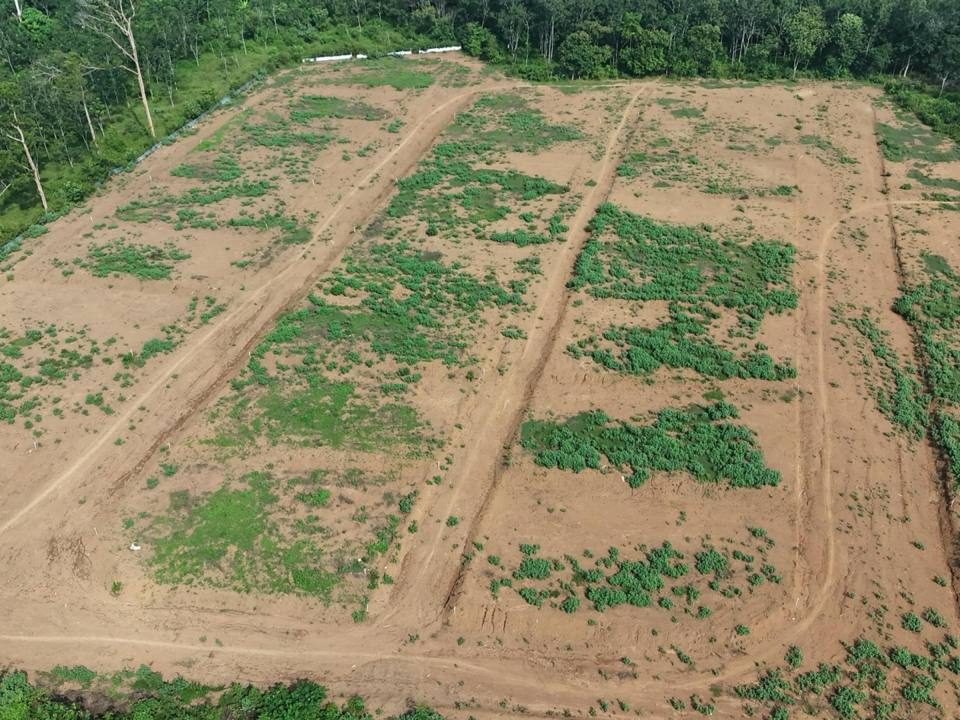 Tanah Lot Banglo 4,000 Kaki Persegi Mukim Pulai Baling Freehold