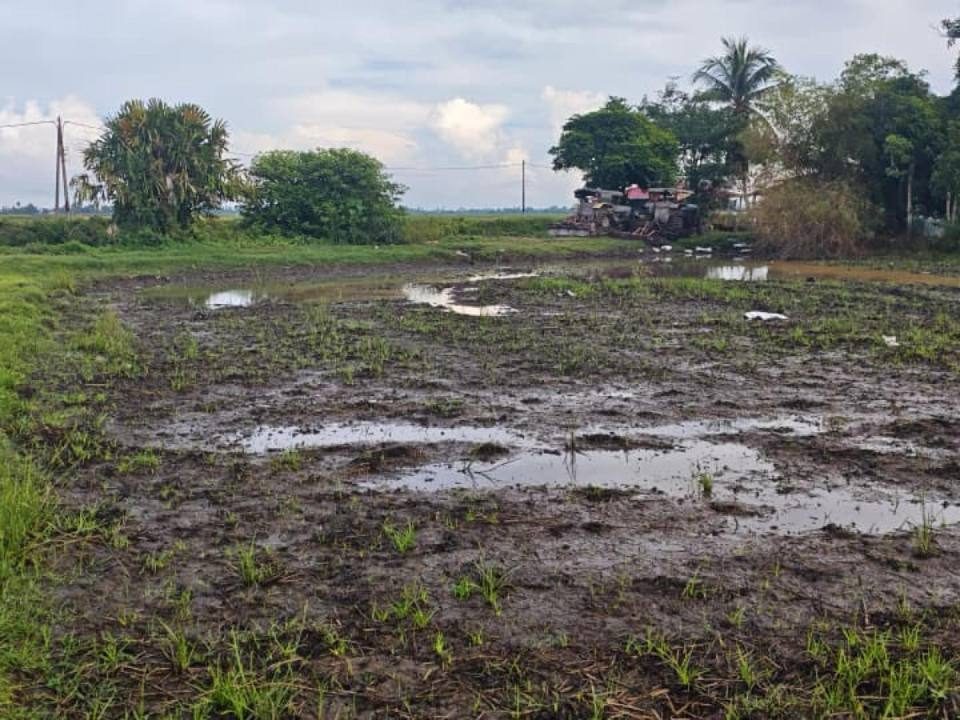 Tanah Pertanian 44,975 Kaki Persegi Tok Tambak Megat Dewa Kedah