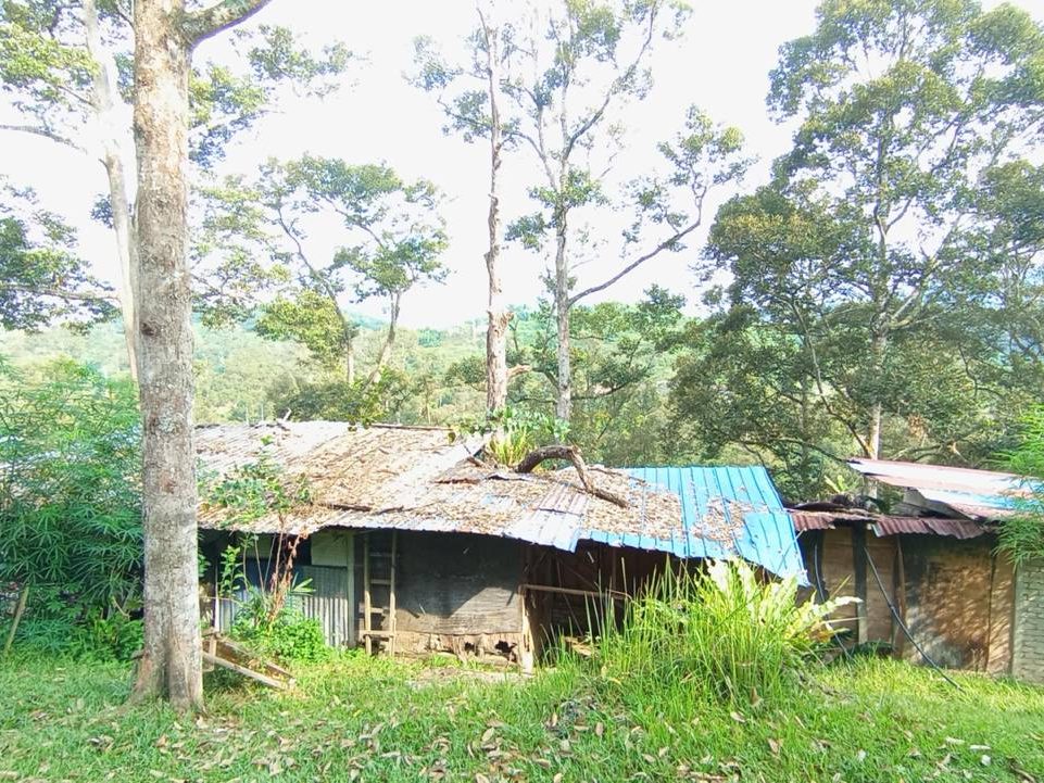 Tanah Pertanian 0.92 Ekar Lenggeng Freehold