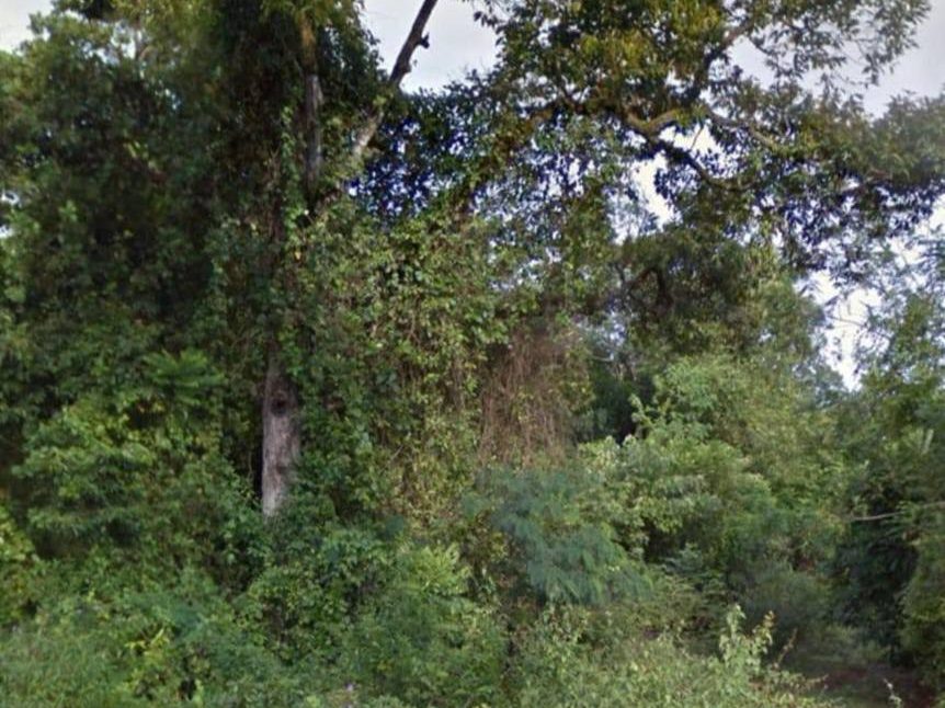 Tanah Pertanian 2 Ekar Freehold Beserah Kuantan