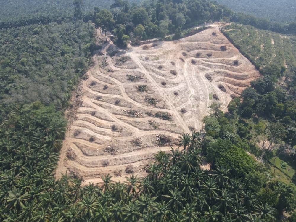 Tanah Pertanian Kg Sungai Timun Rembau 5.5 Ekar Freehold 2 Lot