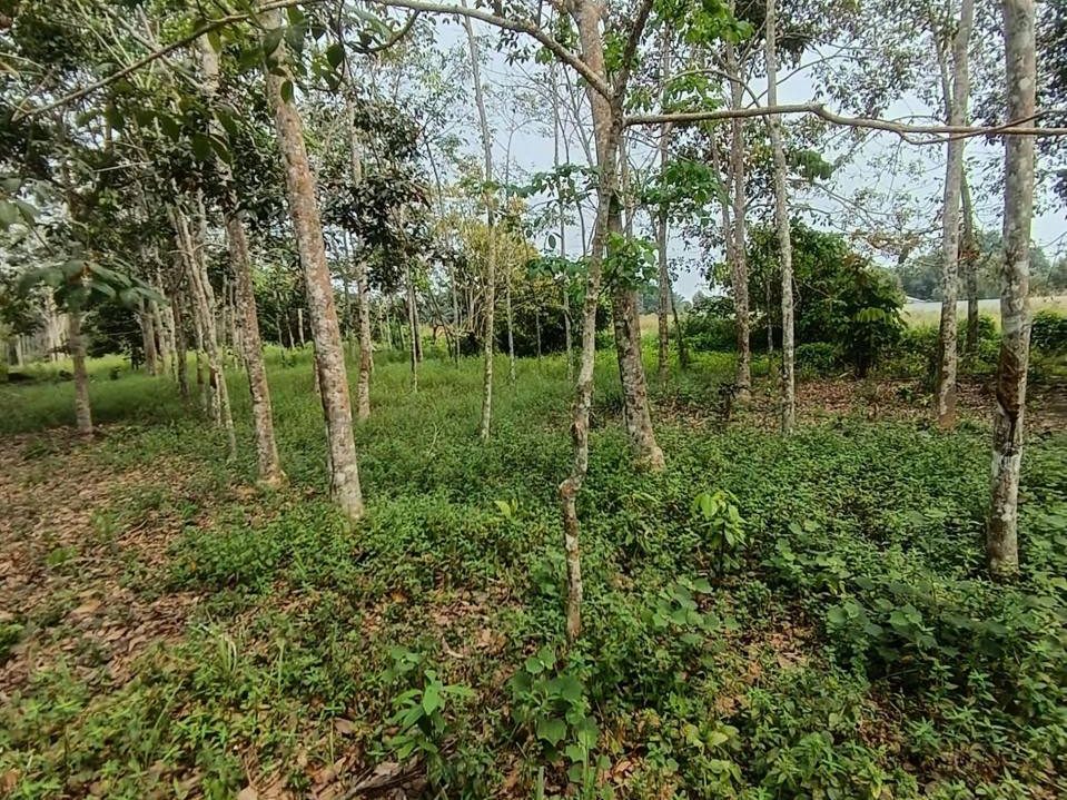 Tanah Kahang Batu 28 Johor 1.86 Ekar Freehold Tepi Jalan