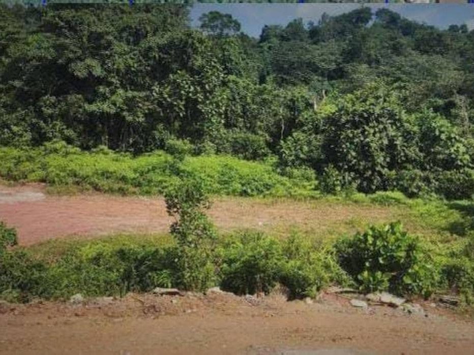 Tanah Banglo Sungai Merab Hulu 4,563 Kaki Persegi Freehold