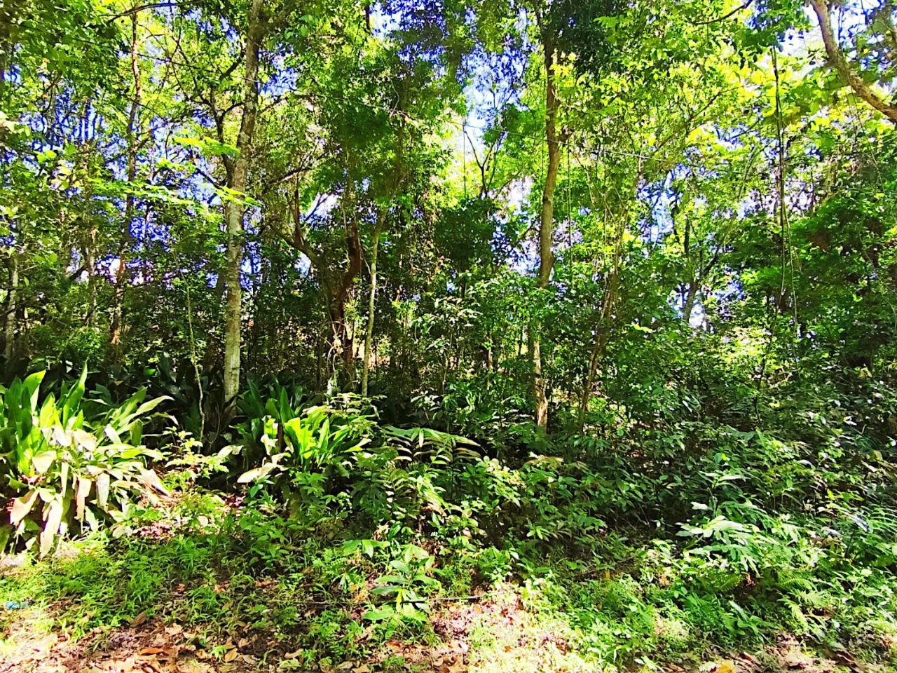 Lot Banglo Hulu Langat 5,005 Kaki Persegi Freehold